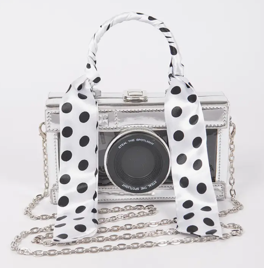 Camera Purse Silver